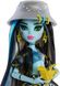 Кукла Монстер Хай Фрэнки Штейн Остров Страха Monster High HRP68 КМ0030 фото 2