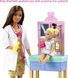 УЦІНКА (Прим'ята коробка) Barbie Барби Педиатр брюнетка Pediatrician Playset Brunette Doll GTN52 КБ0035 фото 3