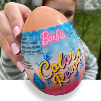 Цветное перевоплощение питомцы Барби в пасхальном яйце Barbie Color Reveal Pet Set In Easter Egg Case GVK58 КБ0051 фото