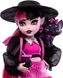 Кукла Монстер Хай Дракулаура с питомцем Monster High Draculaura with Pet Bat-Cat Count Fabulous HRP64 КМ0035 фото 3