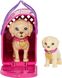 УЦІНКА (Прим'ята коробка) Лялька Барбі Усиновлення щенят Barbie Pup Adoption Doll HKD86 КБ0133у фото 3